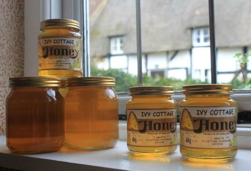 مبيت وإفطار Ivy Cottage B And B