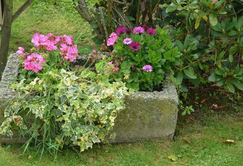 Bed and Breakfast La Ferme Remue