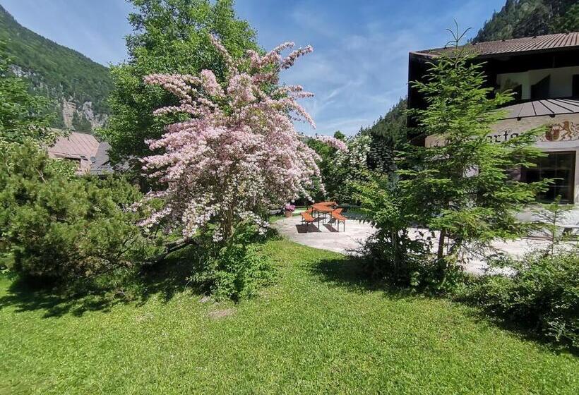 צימר Pension Almhof Baumgarten