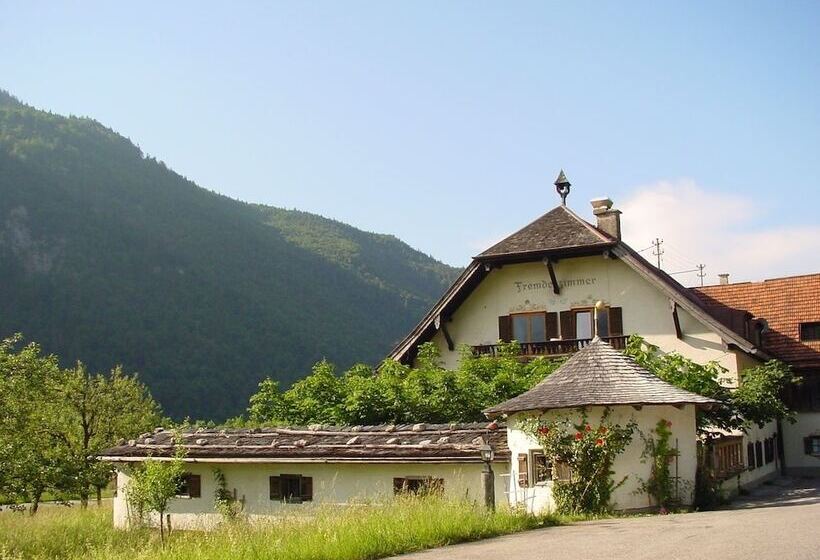 צימר Pension Almhof Baumgarten