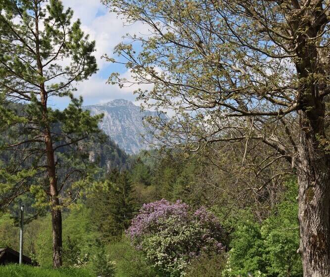 צימר Pension Almhof Baumgarten