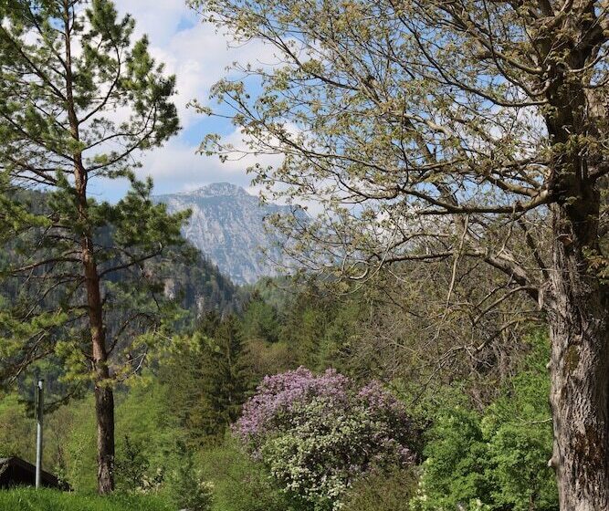 צימר Pension Almhof Baumgarten