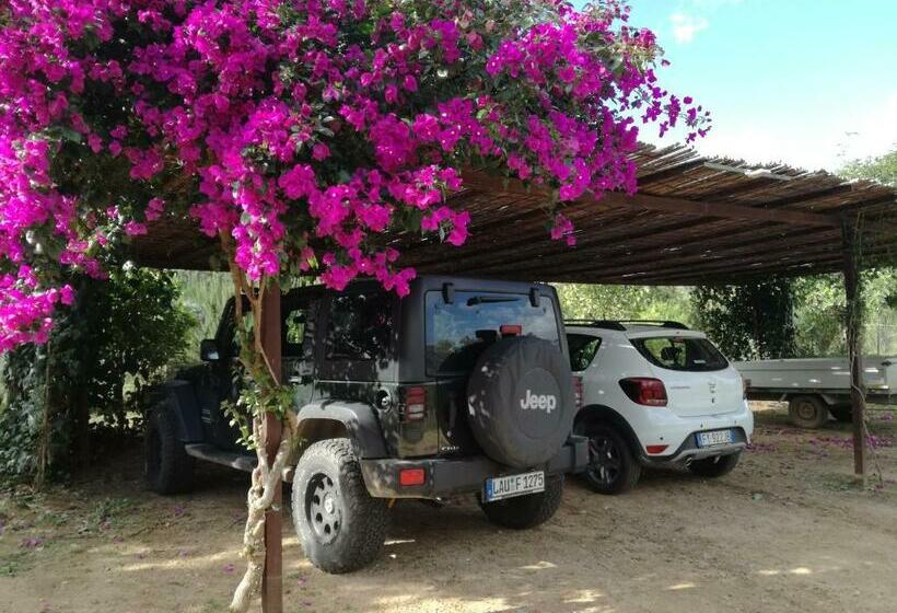 Nocleg ze śniadaniem Rossofiore