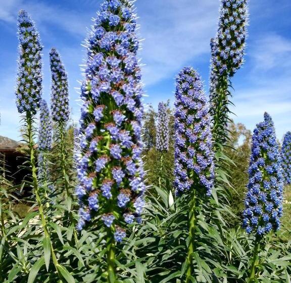 Nocleg ze śniadaniem Rossofiore