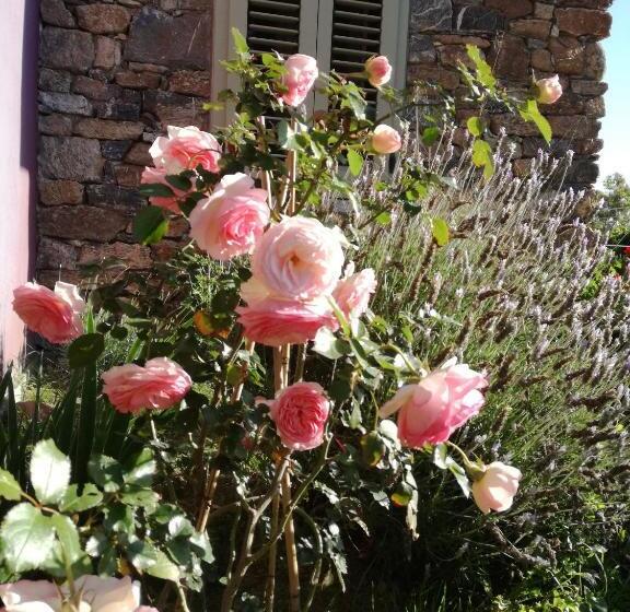 Nocleg ze śniadaniem Rossofiore