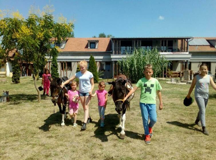 Bed and Breakfast Silver Horse Ranch