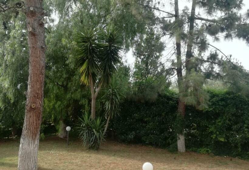 צימר The Orange Groove