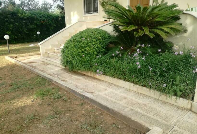 צימר The Orange Groove