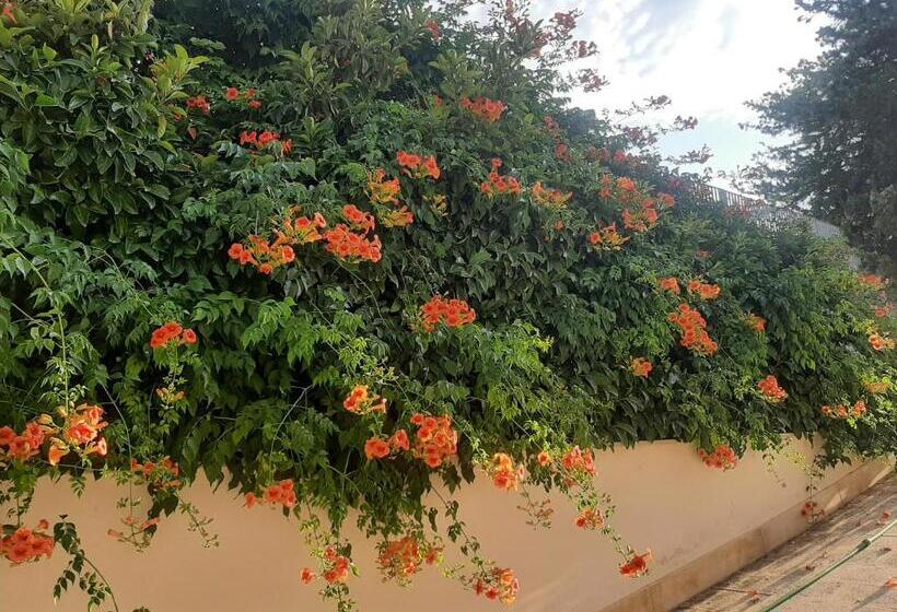 צימר The Orange Groove