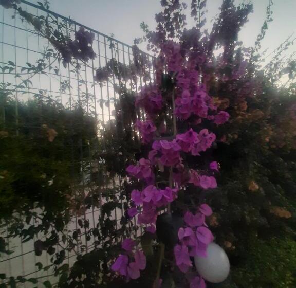 צימר The Orange Groove