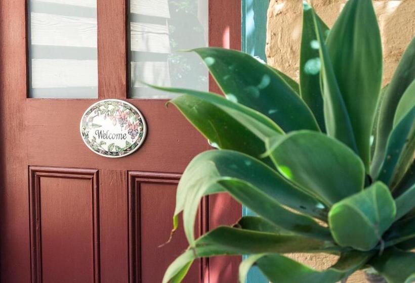 住宿加早餐  Trevalia Accommodation