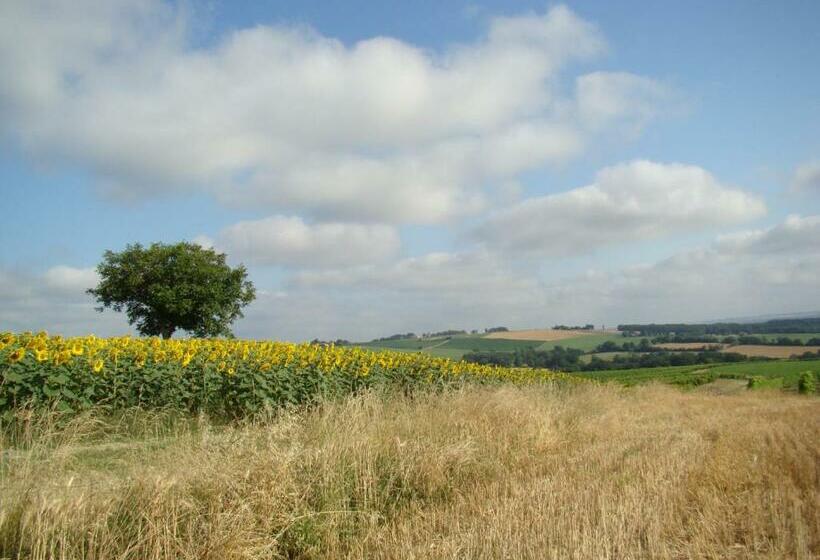 ベッドアンドブレックファースト Villa Des Marronniers