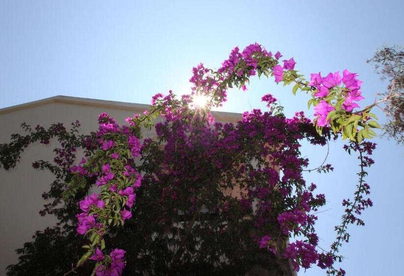 צימר Villa Ghiatone