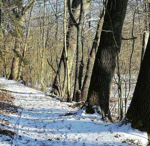 住宿加早餐  Zur Alten Eiche