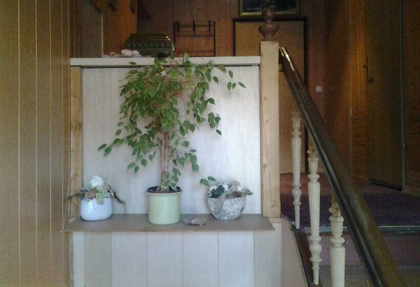 住宿加早餐  Zur Alten Eiche