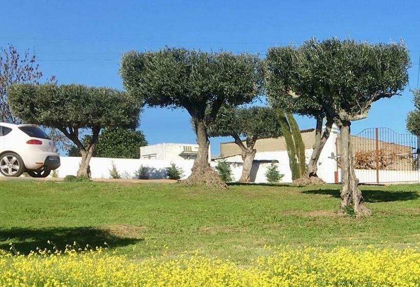 ホテル Aleixo S House | Alentejo