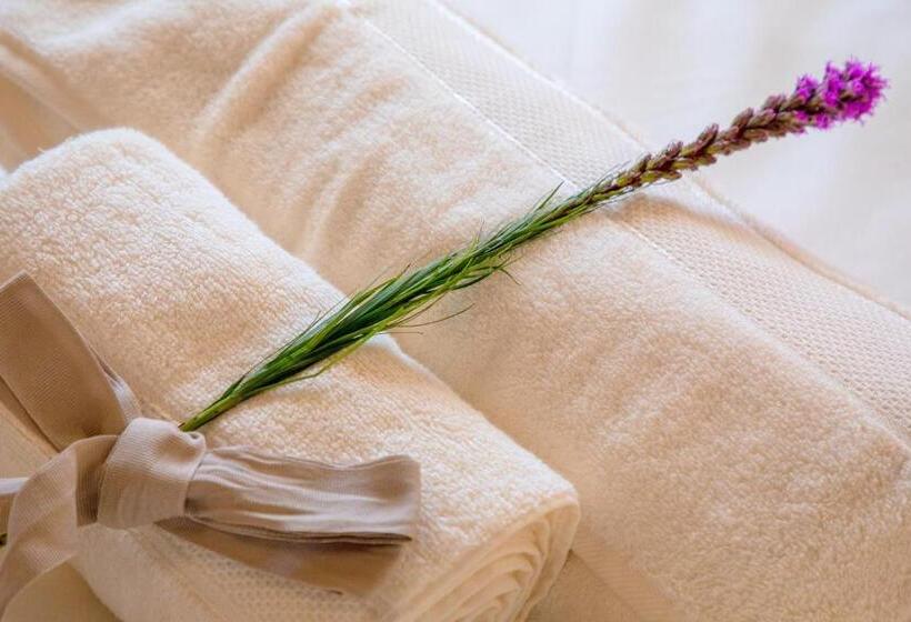 בית מלון כפרי Aleixo S House | Alentejo