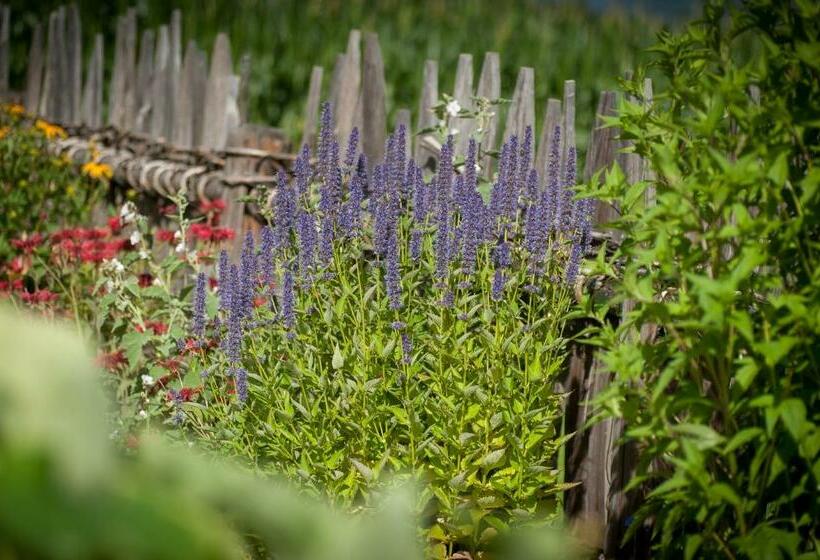 בית מלון כפרי Ferienwohnung Mair Am Bach