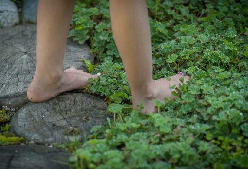 בית מלון כפרי Ferienwohnung Mair Am Bach