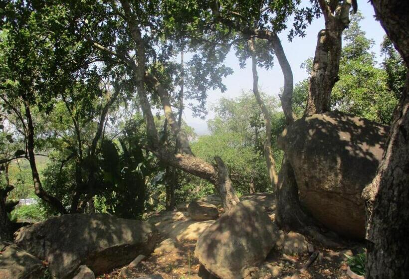 בית מלון כפרי Leopard Tree Retreat
