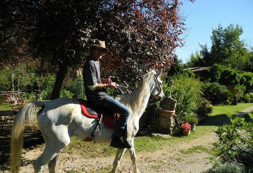 בית מלון כפרי Locanda Delle Noci