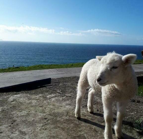 فندق Old Irish Farmhouse