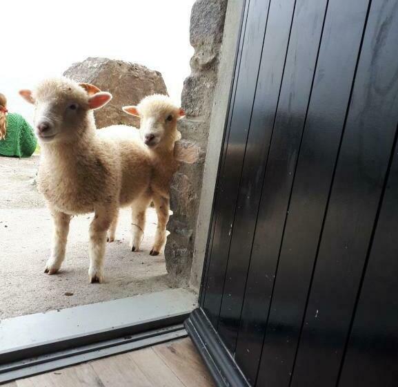 فندق Old Irish Farmhouse