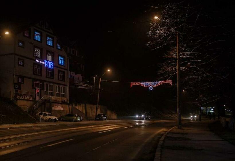 Мотель Pensiune Rosdelmar