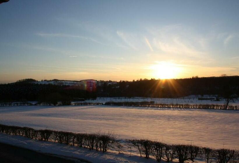 ペンション Au Chat Rme Des Blanches Pierres