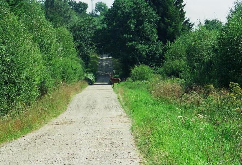 ペンション Au Chat Rme Des Blanches Pierres