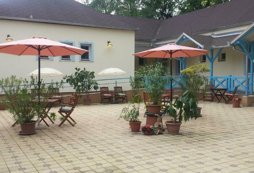 פנסיון Balzsam Apartmanház