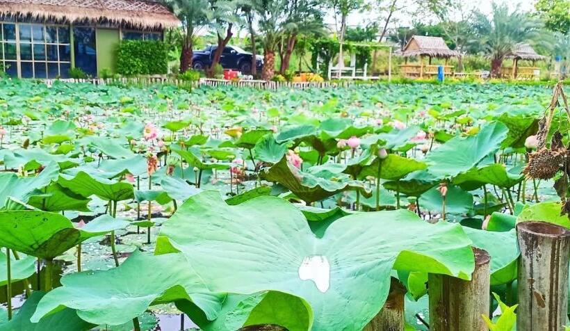 ペンション Ban Ing Suan