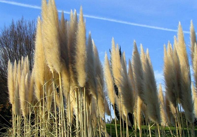 펜션 Camere La Torre