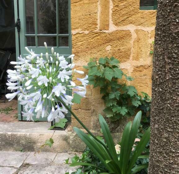 פנסיון Maison De Maître Elegia