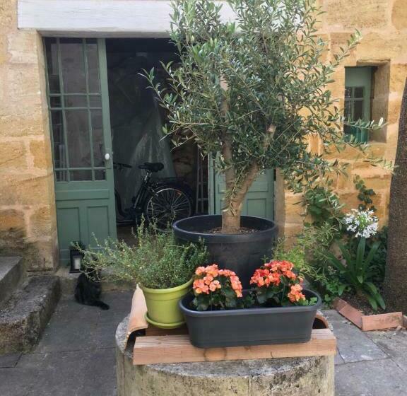 פנסיון Maison De Maître Elegia