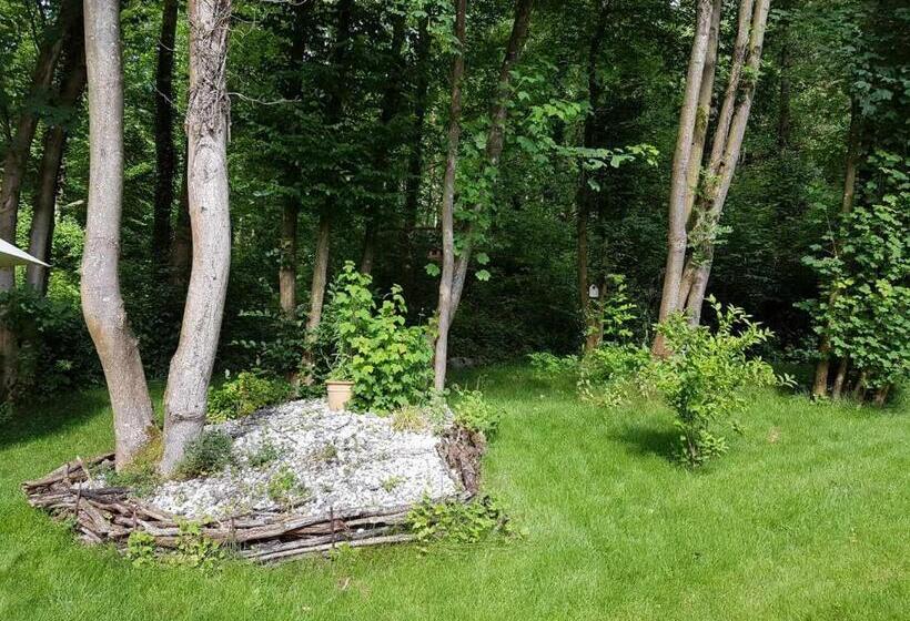 ペンション Panamá Selva Backpacker