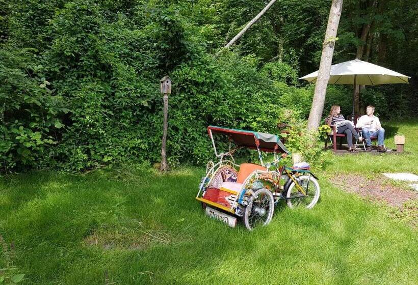 פנסיון Panamá Selva Backpacker