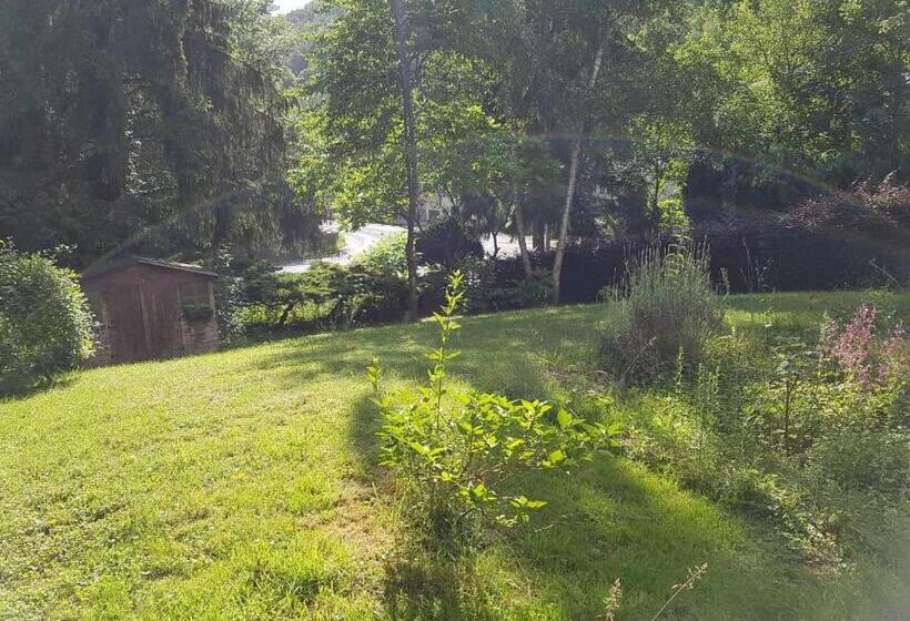 ペンション Panamá Selva Backpacker