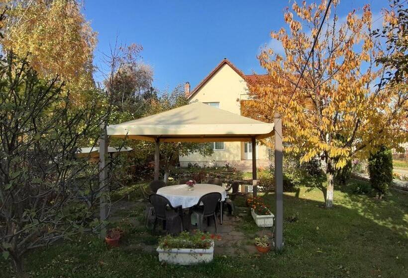 Pensão Steaua Nordului