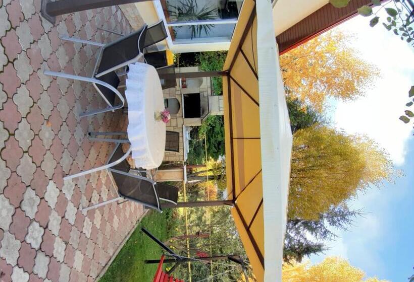 Pensão Steaua Nordului