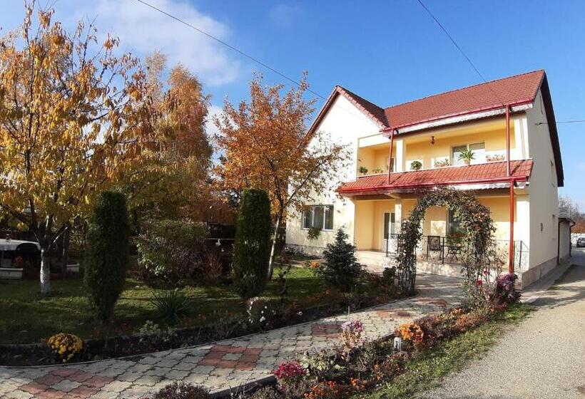 Pensão Steaua Nordului