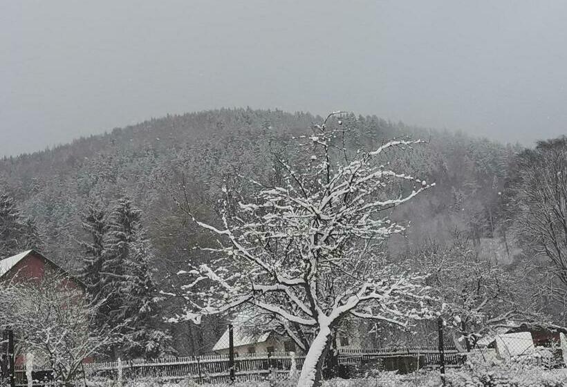 膳宿费 Ubytovaní Vila Pramínek