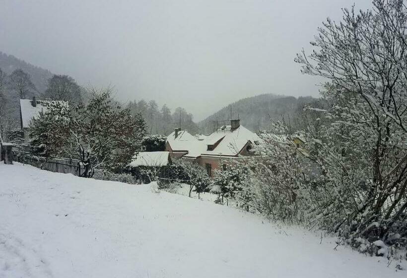 פנסיון Ubytovaní Vila Pramínek