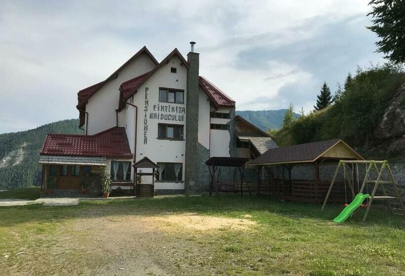 Pensiunea Fantanita Haiducului