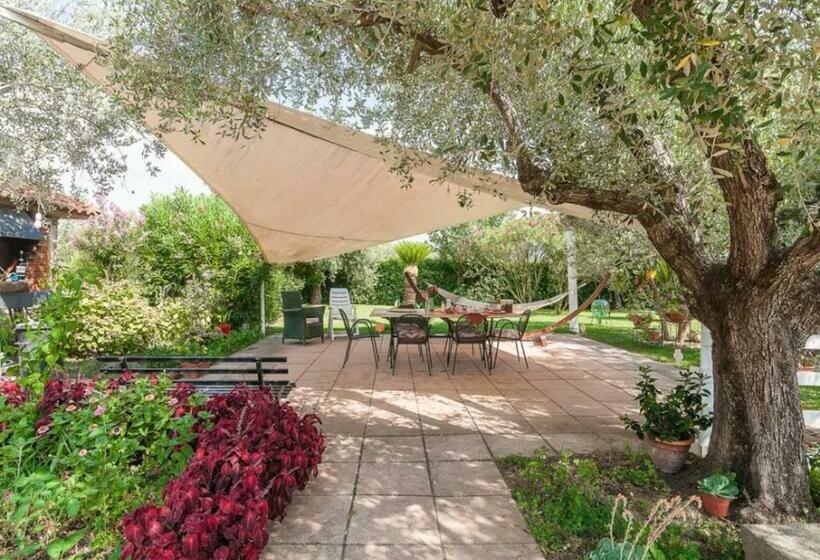 Villa Rosa Lifestyle B&b