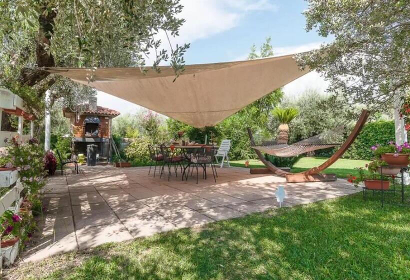 Villa Rosa Lifestyle B&b