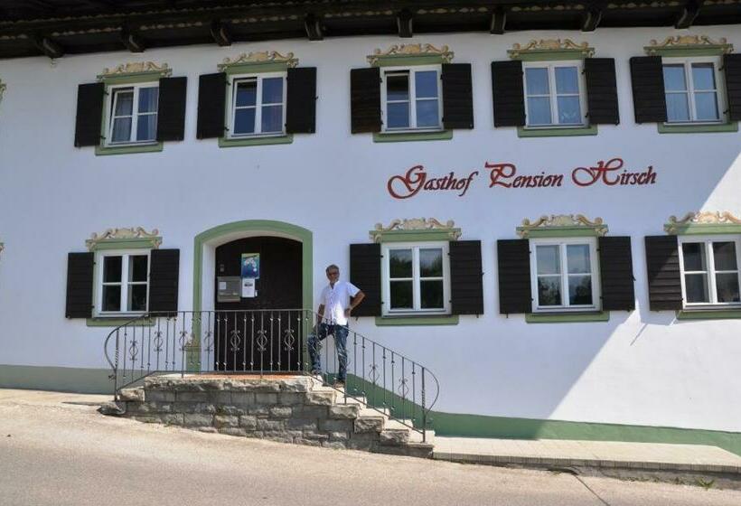 Общежитие Pension Hirsch