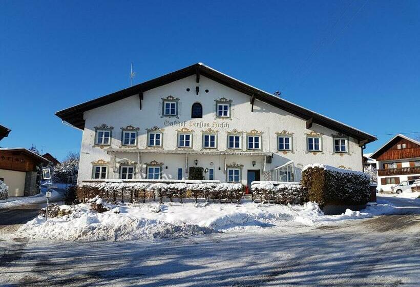 Общежитие Pension Hirsch