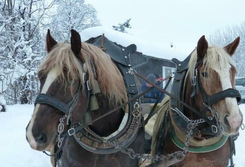 Общежитие Pension Hirsch