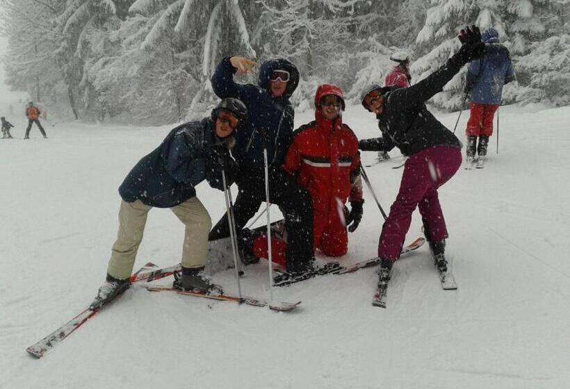 Общежитие Pension Hirsch